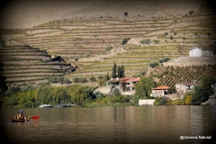 DOURO EN KAYAK - ALTO DOURO