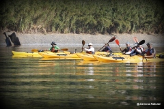 DOURO-EN-KAYAK-8